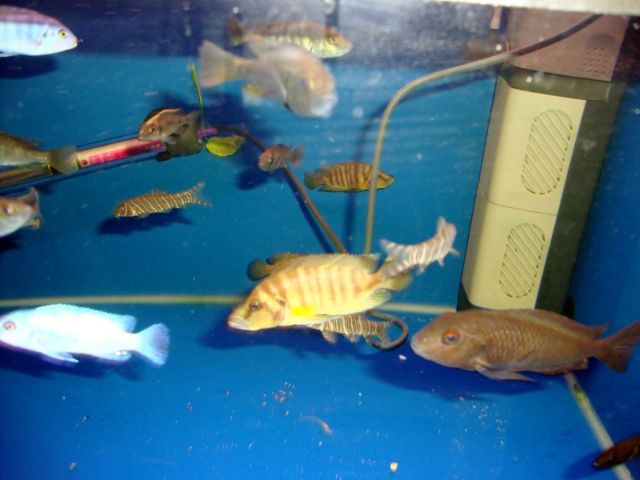 DSC01370.jpg