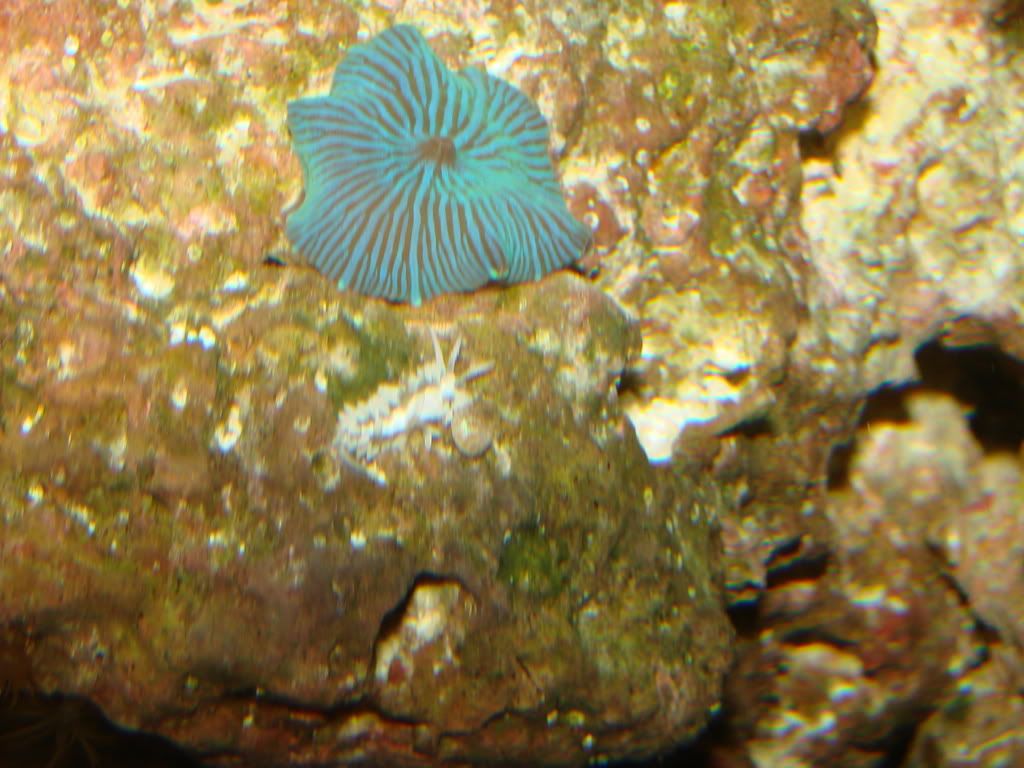 DSC00483.jpg