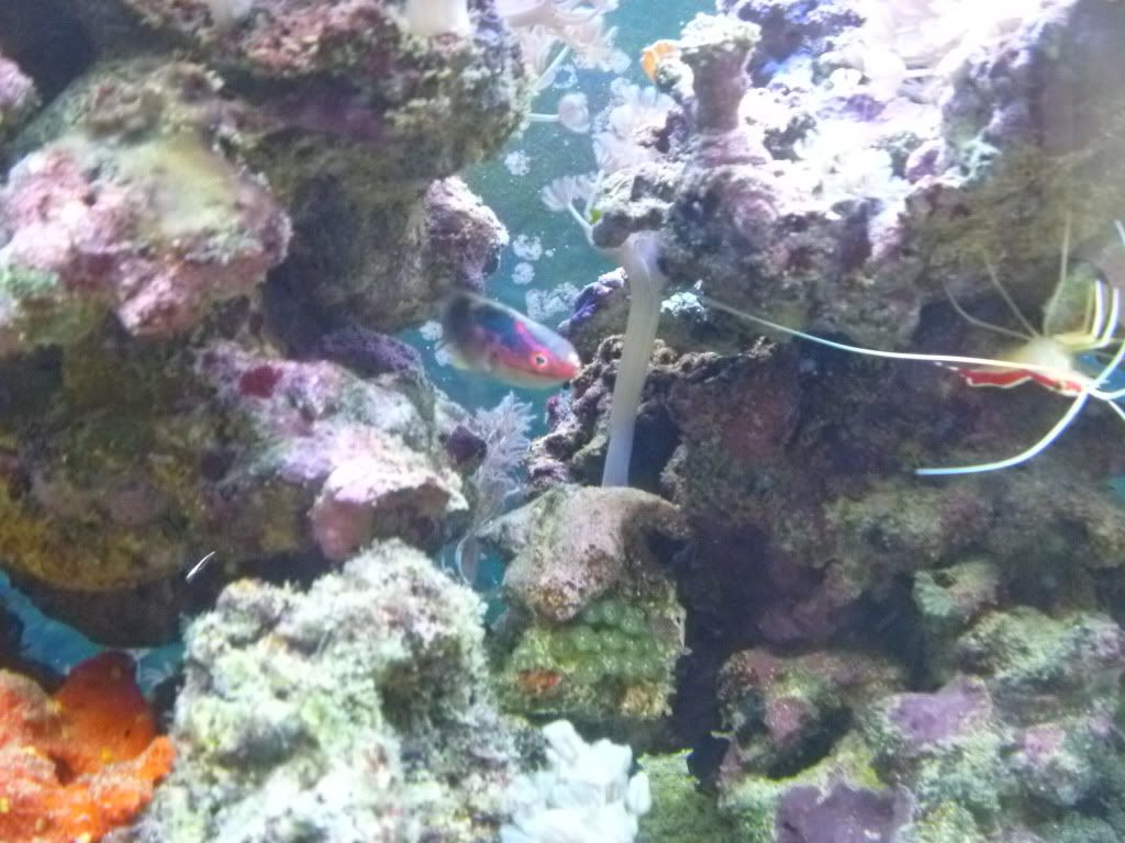 034-10.jpg