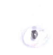 DSCF3219.jpg