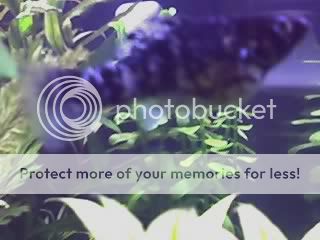 13-05-06_2109.jpg