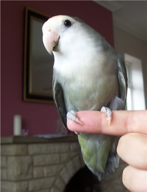 ren2200905.jpg
