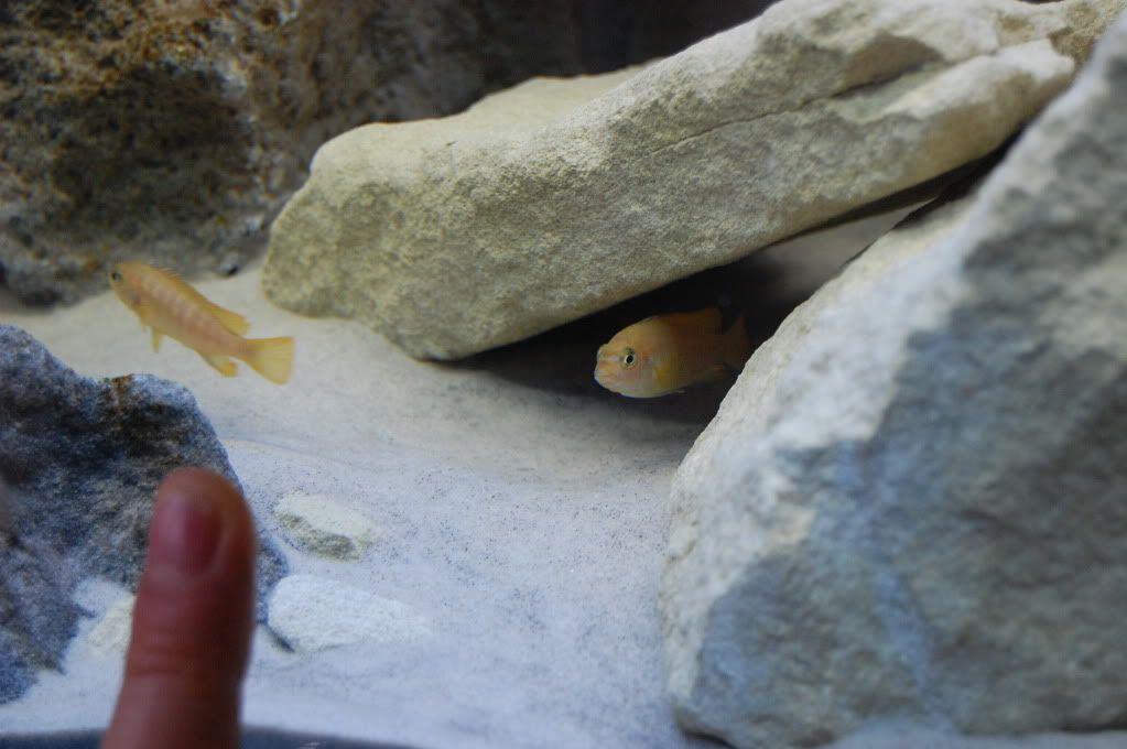 DSC_0228.jpg