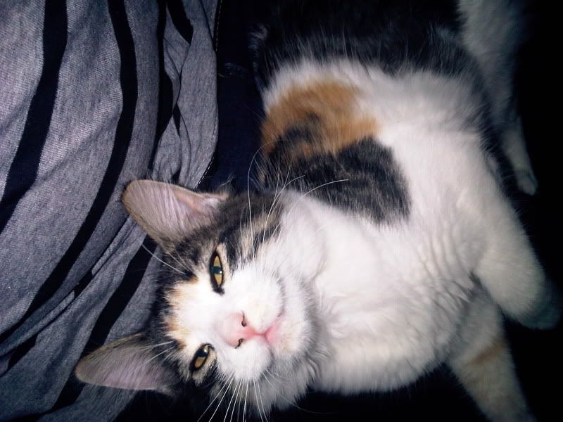 IMG00238-20100925-2041.jpg