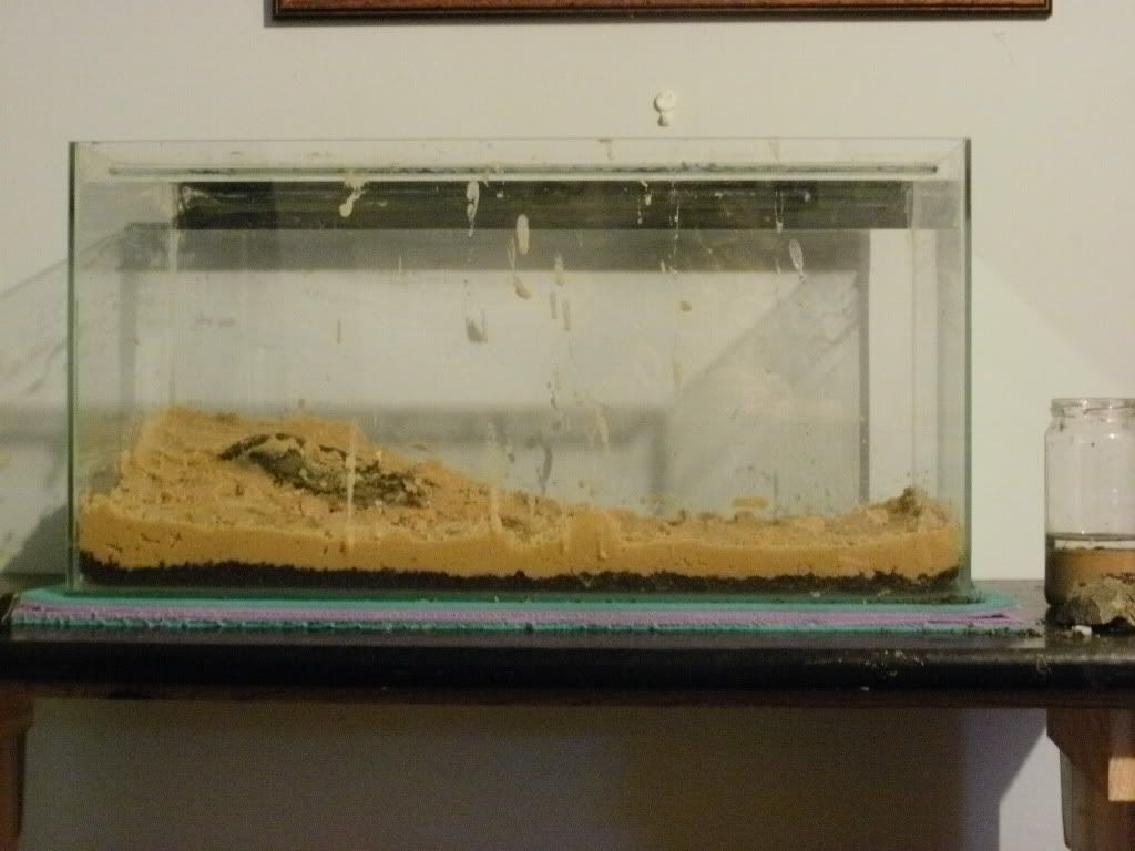 P1080037.jpg