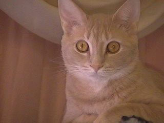 00_00000_2.jpg
