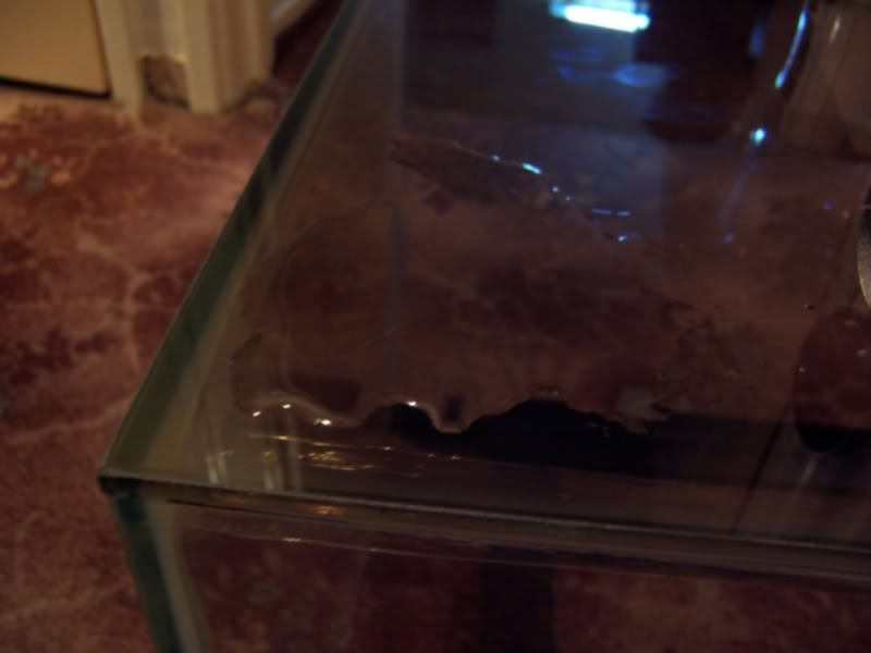 100_4871.jpg