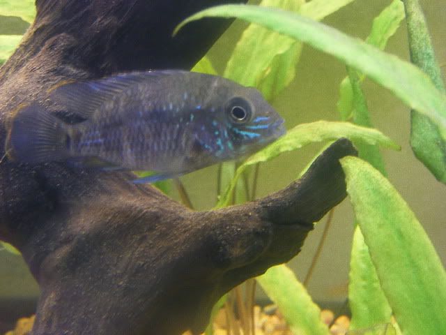 DSCF6553.jpg