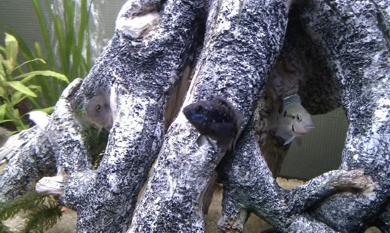 IMAG0656.jpg