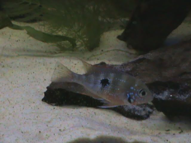 DSC00109.jpg