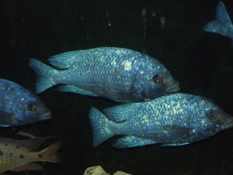 DSCF8361.jpg