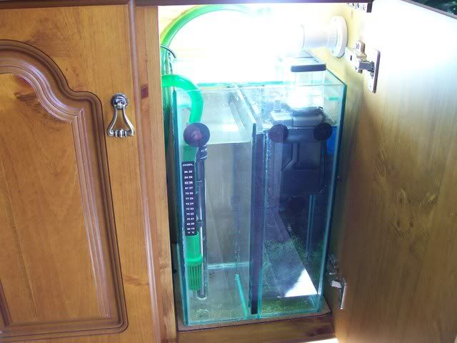 Picture454.jpg