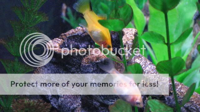 55G-054.jpg