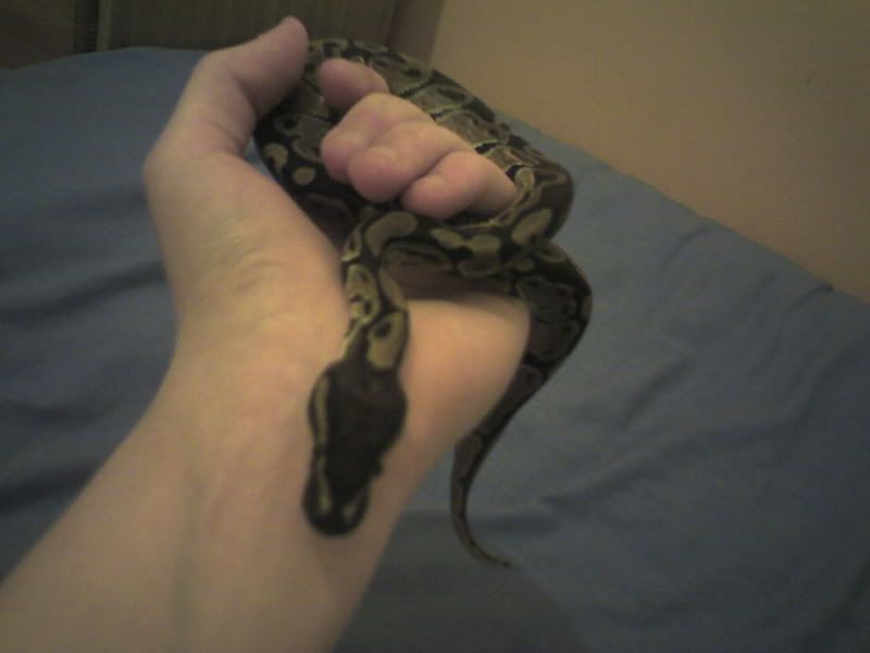Picture0117.jpg
