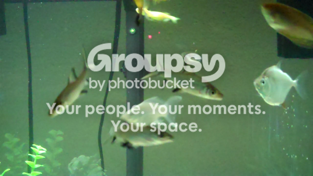 vlcsnap-2011-04-06-17h09m34s19-2.png