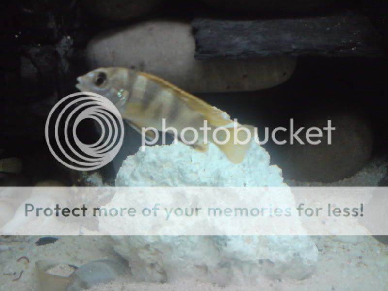 DSC00770.jpg