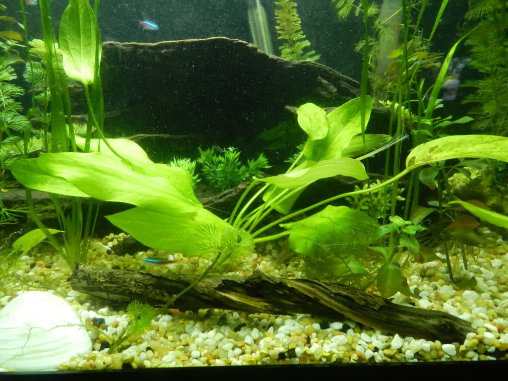 DSCN5386.jpg