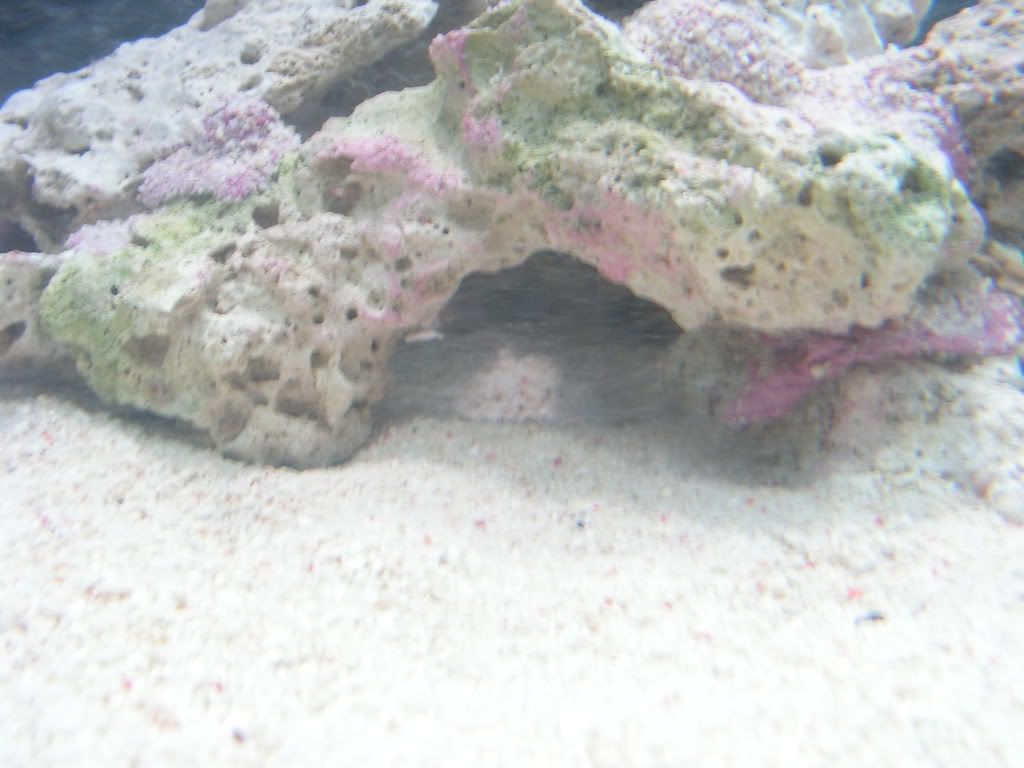 PICT1031.jpg