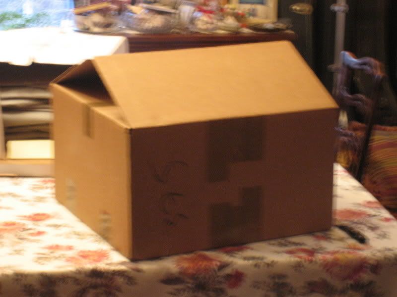 Picture005-1.jpg