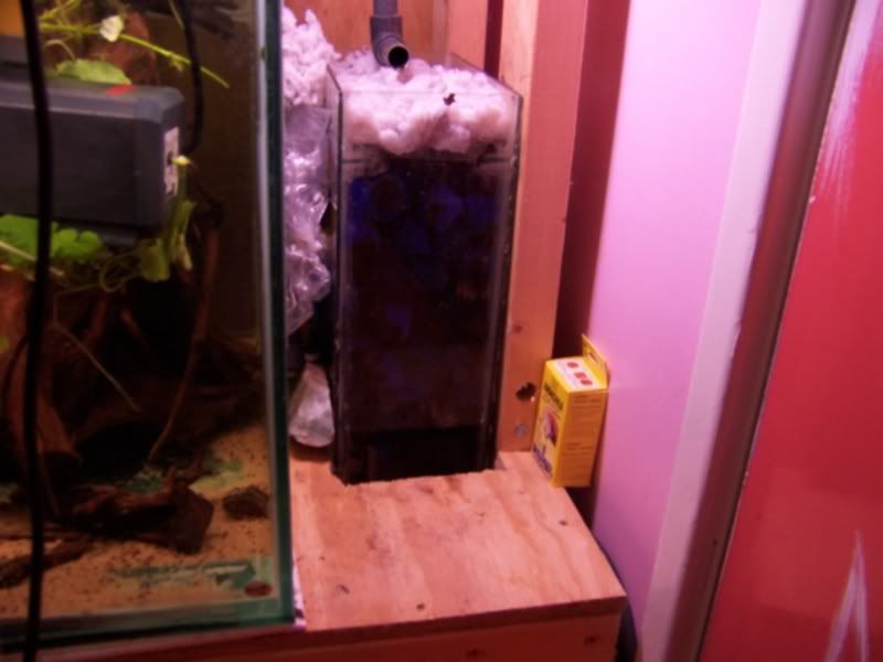 100_4817.jpg