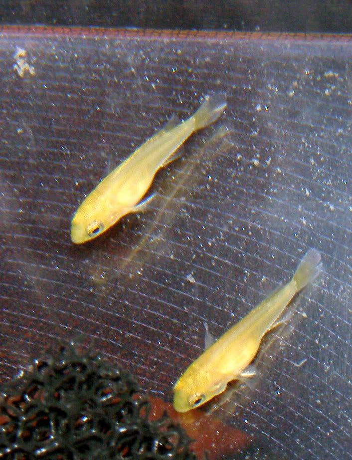 P1310003_edited.jpg