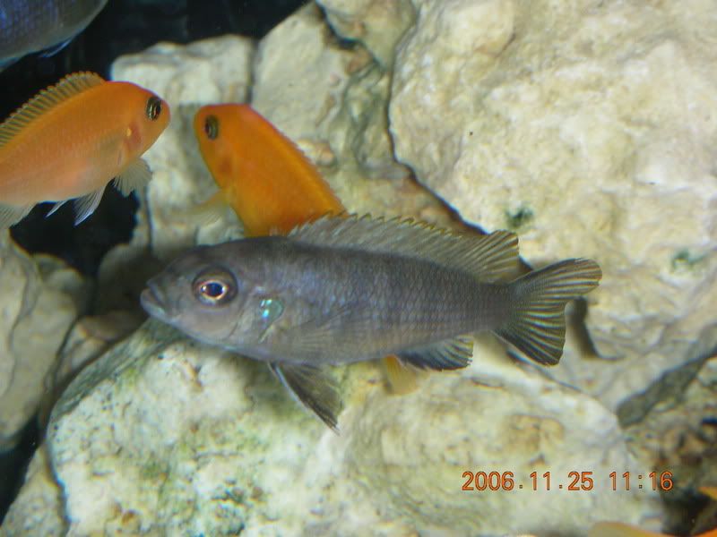 DSCN1441.jpg