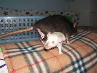 DSCF2598.jpg