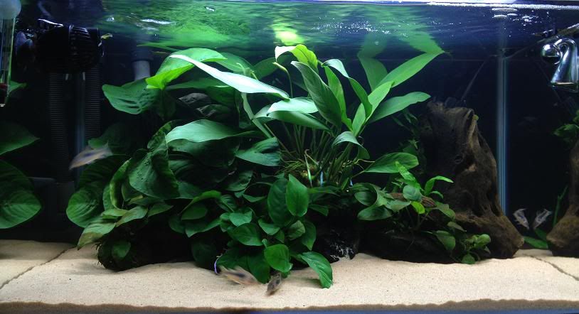 FTS_zpse4300dba.jpg