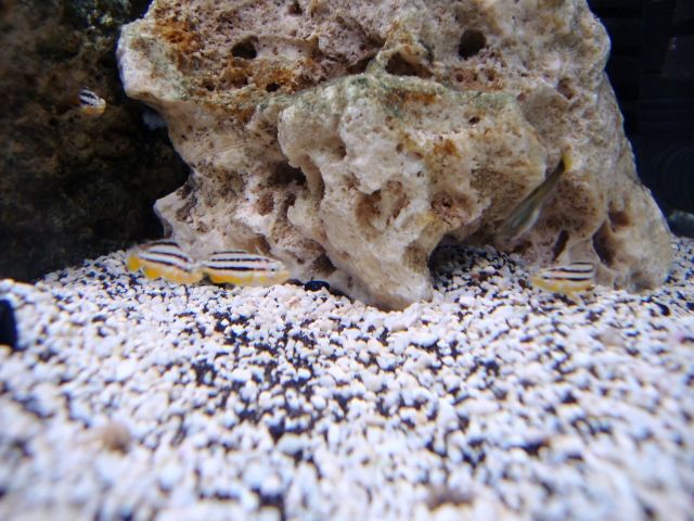 DSC01113.jpg