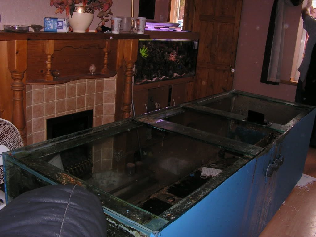PICT0554.jpg