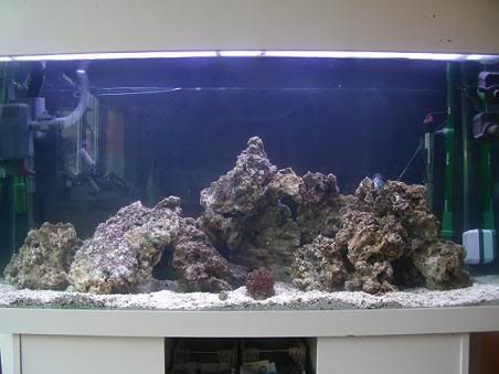 frontview.jpg