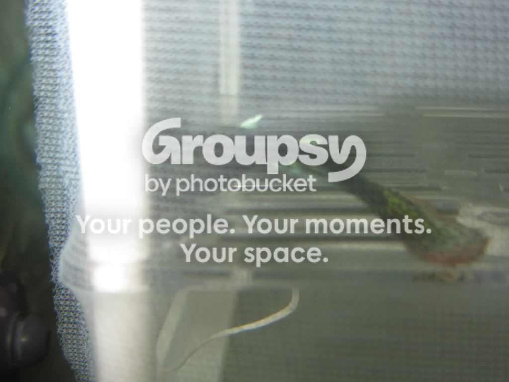 IMG_05211.jpg