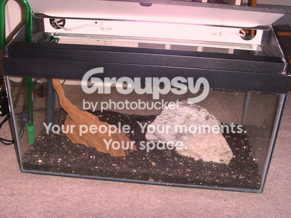fishtank003.jpg