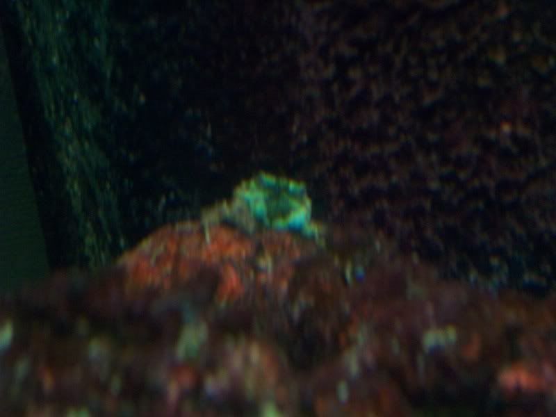 100_8053.jpg