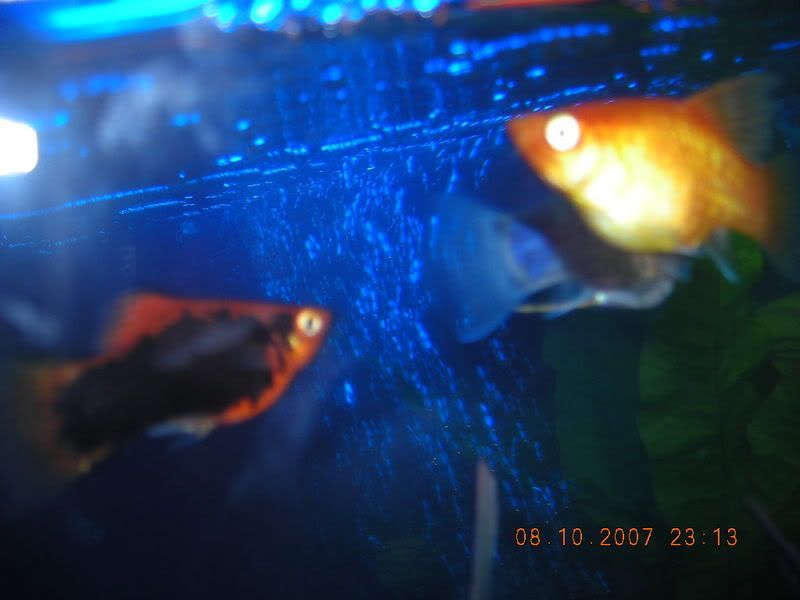 DSCN0228.jpg