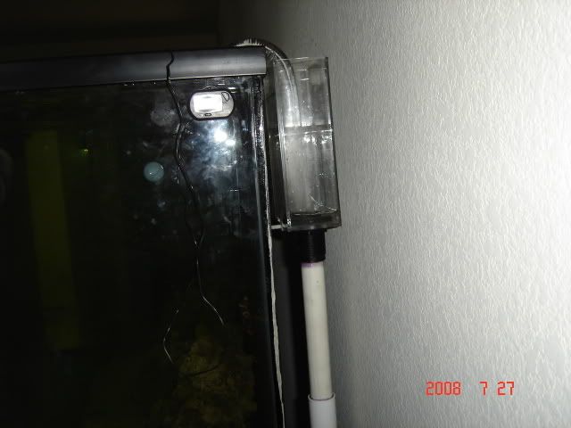 DSC06977.jpg