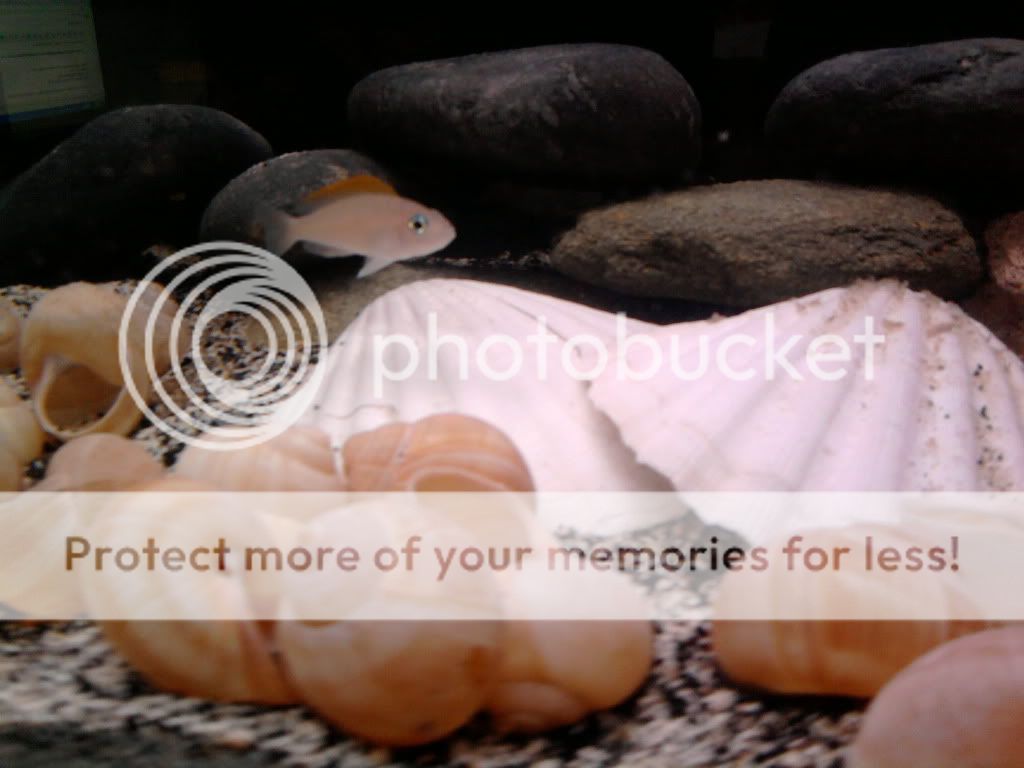 CopyofPhoto0035.jpg