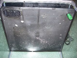 100_1022.jpg