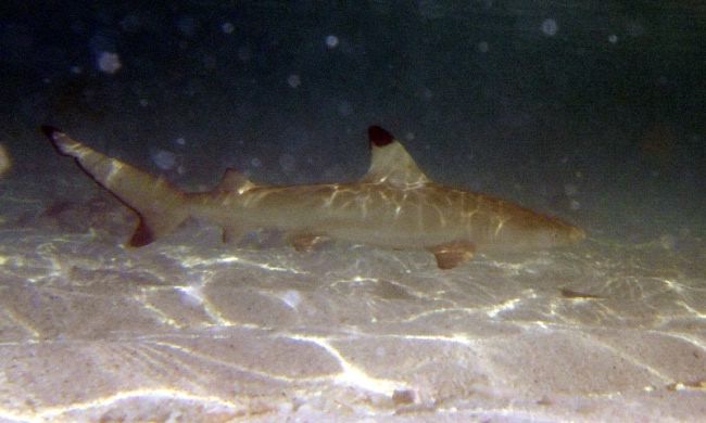 DSCF1911.jpg