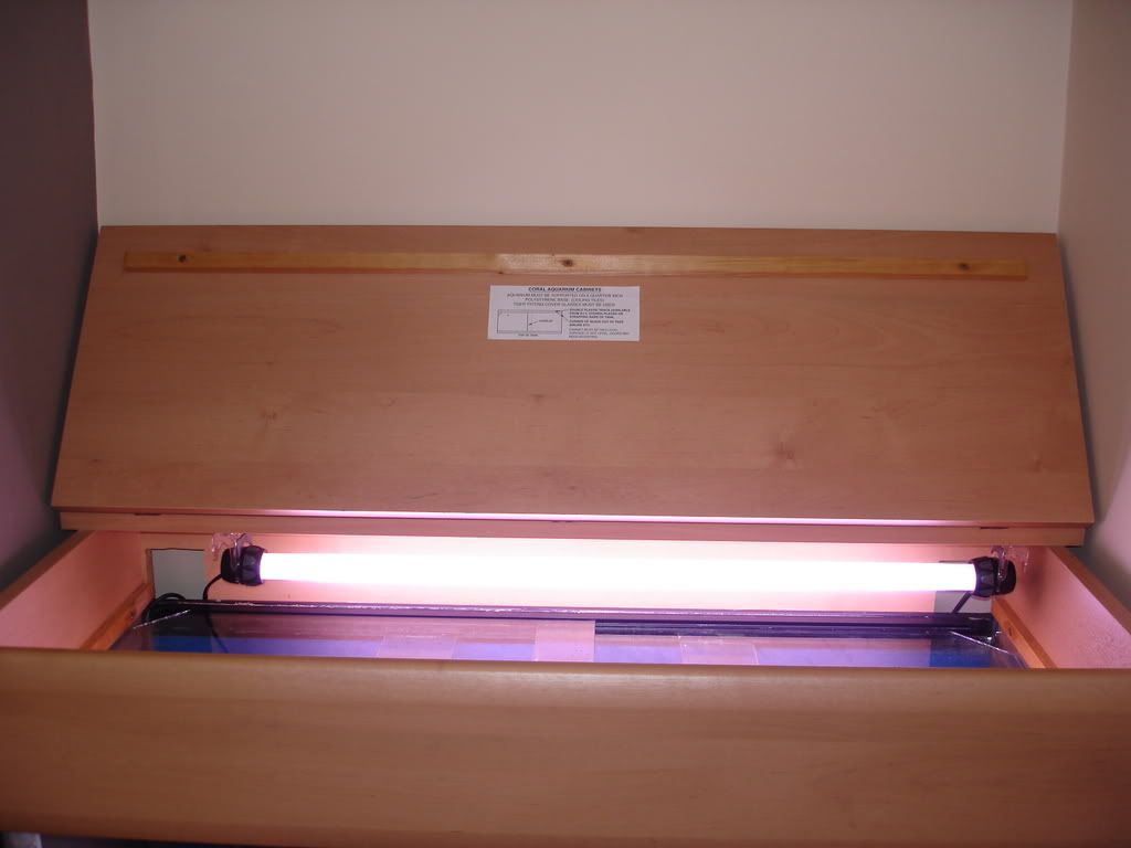 DSC01667.jpg