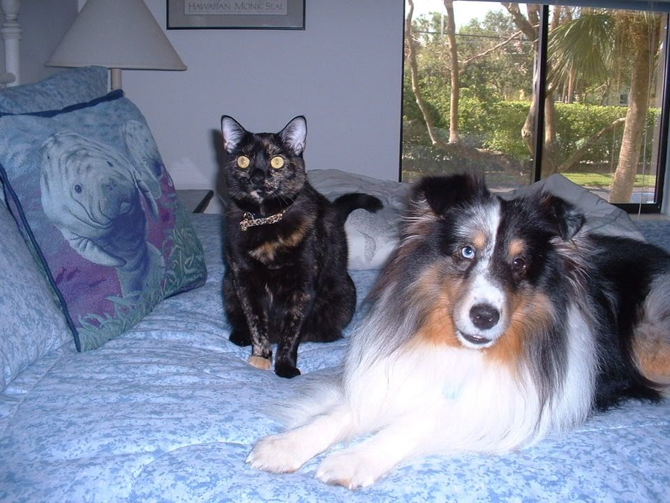 DSCF0029.jpg