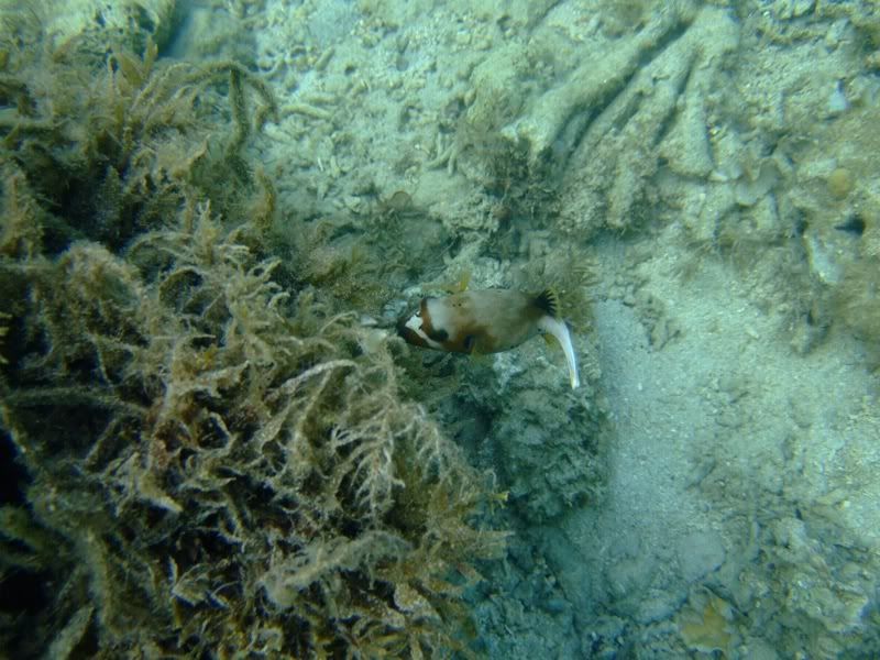 DSCF1503.jpg