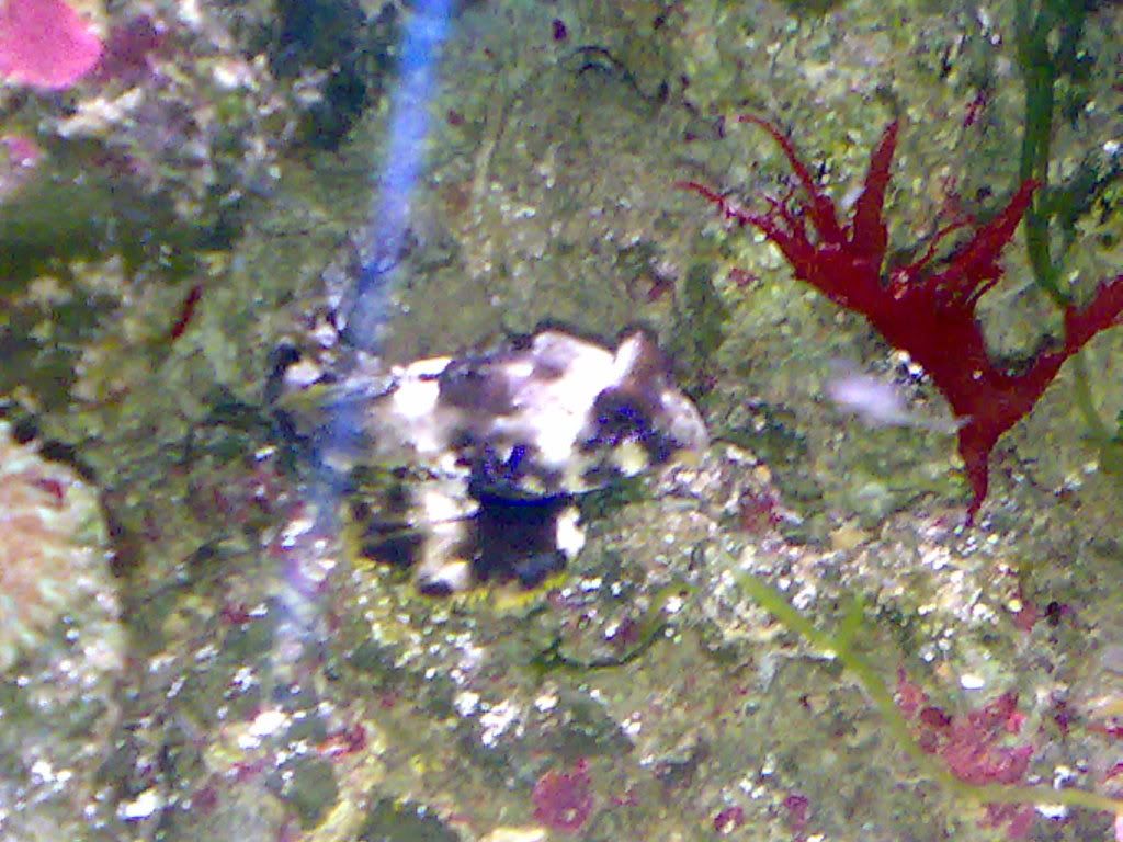 12042009402.jpg
