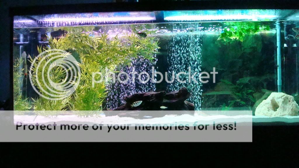 DSC02535.jpg