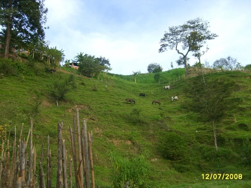 S5004876.jpg