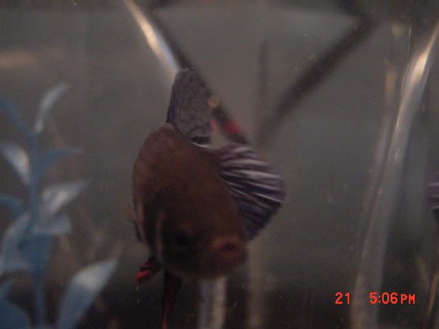 DSC00321.jpg