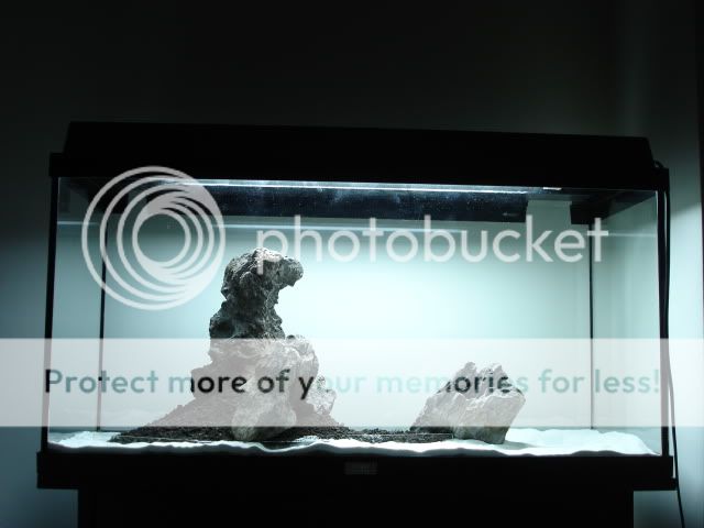 DSC03551.jpg