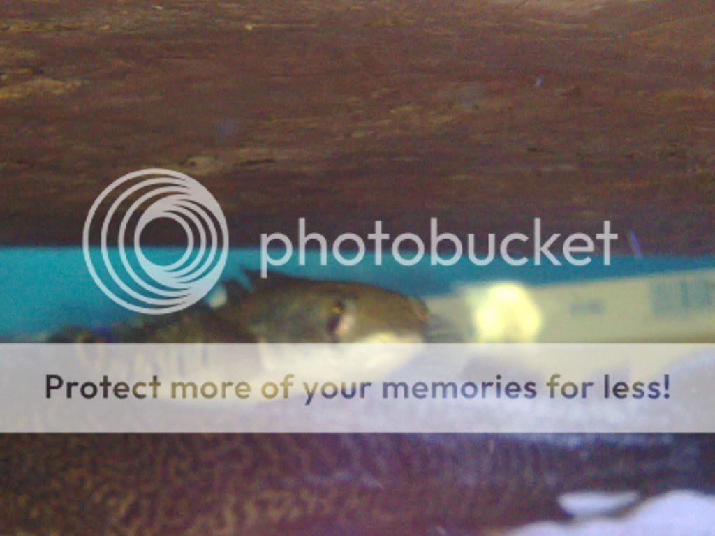 31072009628.jpg