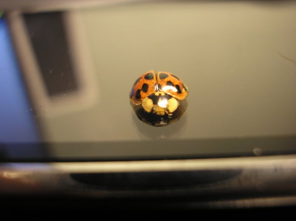 Picture084.jpg