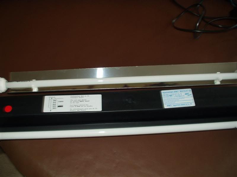 P1010238Medium.jpg